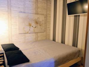 Viihtyisä huoneisto Tahkolla