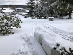 Schwarzwald Apartment mit Terasse