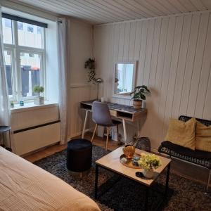 Harstad city studio apartment B.