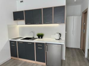 Apartament Katowicka