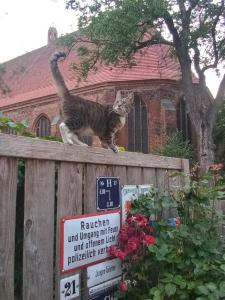 Ferienhaus in der historischen Altstadt von Angermünde