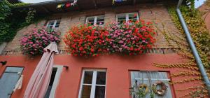Ferienhaus in der historischen Altstadt von Angermünde