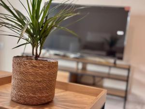 Apartamento en PLENO CENTRO con APARCAMIENTO opcional