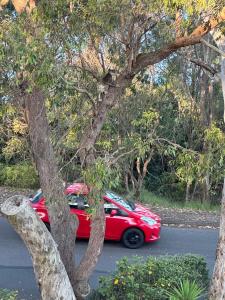 Tranquil Escape - Koala Hotspot - 2 Bed 2 Bath Apt Spectacular Sea Views