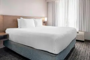Hyatt Place-Dallas/Arlington - Arlington