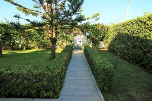 Villa Flora: unoasi verde a 100 m dal mare