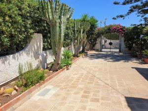 Villa Flora: unoasi verde a 100 m dal mare