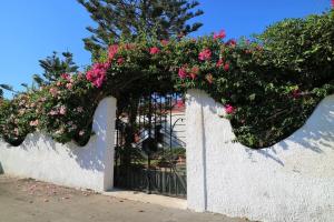 Villa Flora: unoasi verde a 100 m dal mare