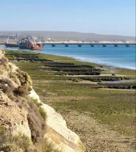 Barrancas al norte view whales - Puerto Madryn