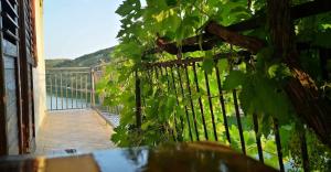 Apartments Adriaaticoo 