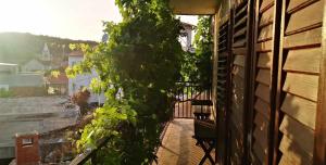 Apartments Adriaaticoo 