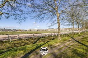 Appartements La Casa Sequoia - Peace and quiet in the city : photos des chambres