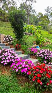 Residência Da Família Binitz