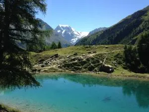 Apartment Panorama - Arolla