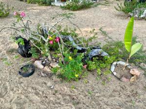 HomeState Bang Maprao