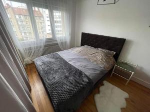 Appartements Chez Frederic - Gare de Metz a 2 minutes a pied - Appartement entierement equipe : photos des chambres