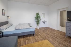 Spacious 2 BR Apartment Hamburg