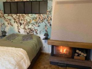Appartements Gite cosy 4 etoiles avec sauna infrarouge pour 2 a 6 personnes : photos des chambres