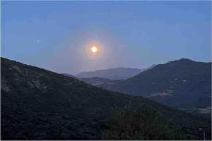 Appartement familial au cœur du village d’Olmeto