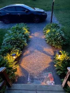 Newly Renovated 3BR Country Oasis Near Conway Lake