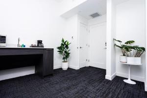 Modern Studio in Historic Boston - Unit #102