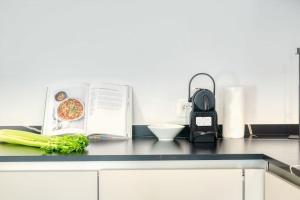 Wonderful 6P duplex in Antwerp