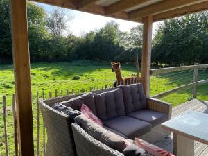 B&B / Chambres d'hotes Aux murmures de la nature B&B : photos des chambres