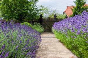 REETDACH FERIENHAUS IN GĄSKI MIT GEPFLEGTEM GARTEN