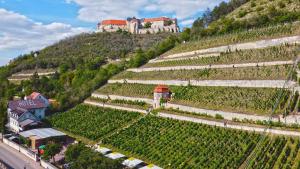 Landhotel Weingut Schulze