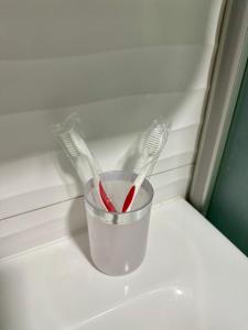 1-кімнатна квартира з видом на Дніпро