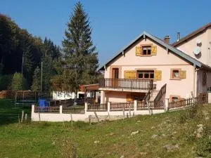 gite cocoon neuf proche GERARDMER - 沃洛格河畔格朗热