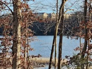 Cozy Townhouse with a Lake view - 伍德布里奇