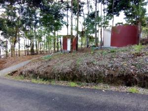 Volcano Tenorio Glamping Ranch - 3 Tents