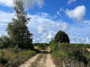 6 person holiday home in KLINTEHAMN-By Traum