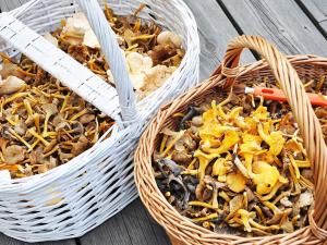 4 star holiday home in JÖRLANDA-By Traum