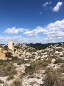 Appartements Studio Villa Serena piscine centre ville : photos des chambres