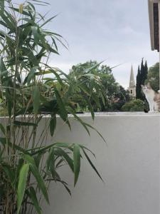 Appartements Studio Villa Serena piscine centre ville : photos des chambres