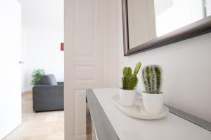 Appart'hotels Nemea Appart Hotel Le Lido Cagnes sur Mer : photos des chambres