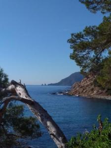 Appartements Villa sur le toit : photos des chambres