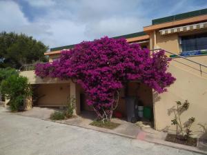 Appartements Villa sur le toit : Appartement 2 Chambres