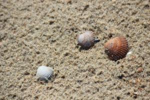 107,6 Nieuw appartement met sauna