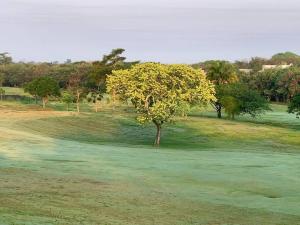 Residencia Campo Golf Altozano