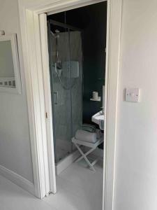 Carols Cottage (Studio Apt) - Wild Atlantic Way