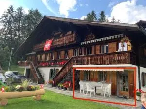 1 room apt, kitchen, patio, in beautiful chalet - Les Diablerets