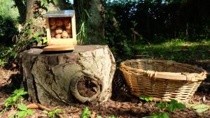 Polani - Il Noceto img18