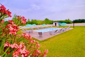 Appartements Campo Vecchio Kamerops et piscine : photos des chambres
