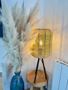 Maisons de vacances COC - La Dune : photos des chambres