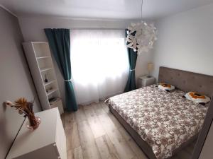 Mosnita Apartament
