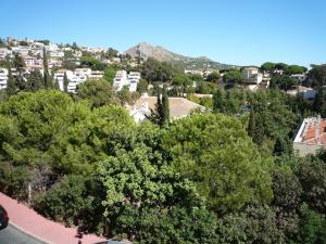 Flamencos del cerrado