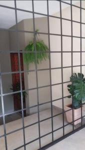 Casa Inteira Próxima ao Centro 4 Suítes.